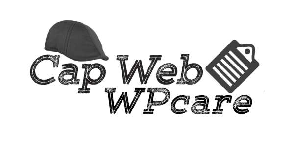 Cap Web Solutions WPcare logo with clipboard