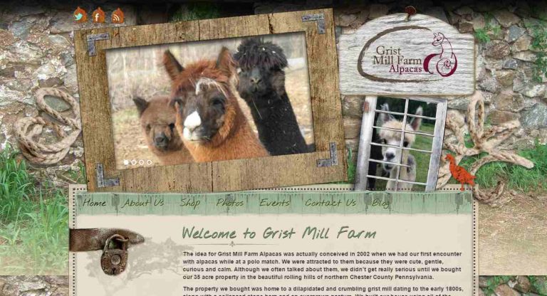 Grist Mill Farm Alpacas