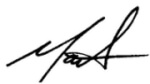 matt ryan's written signature