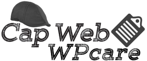 Cap Web Solutions WPcare logo with clipboard