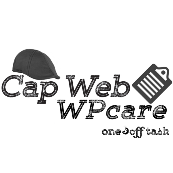 wpcare one off task support logo