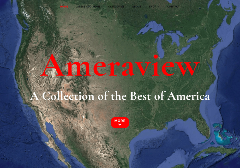 Above the fold view of Ameraview website.