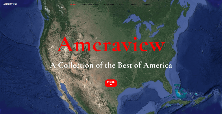 Above the fold view of Ameraview website.