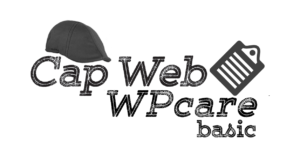 WPcare logo for Basic service
