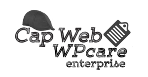 WPcare Enterprise Care plan for your website