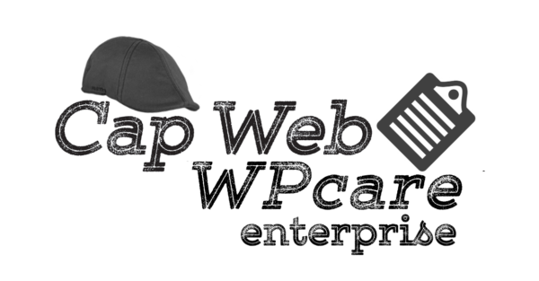 WPcare Enterprise Care plan for your website